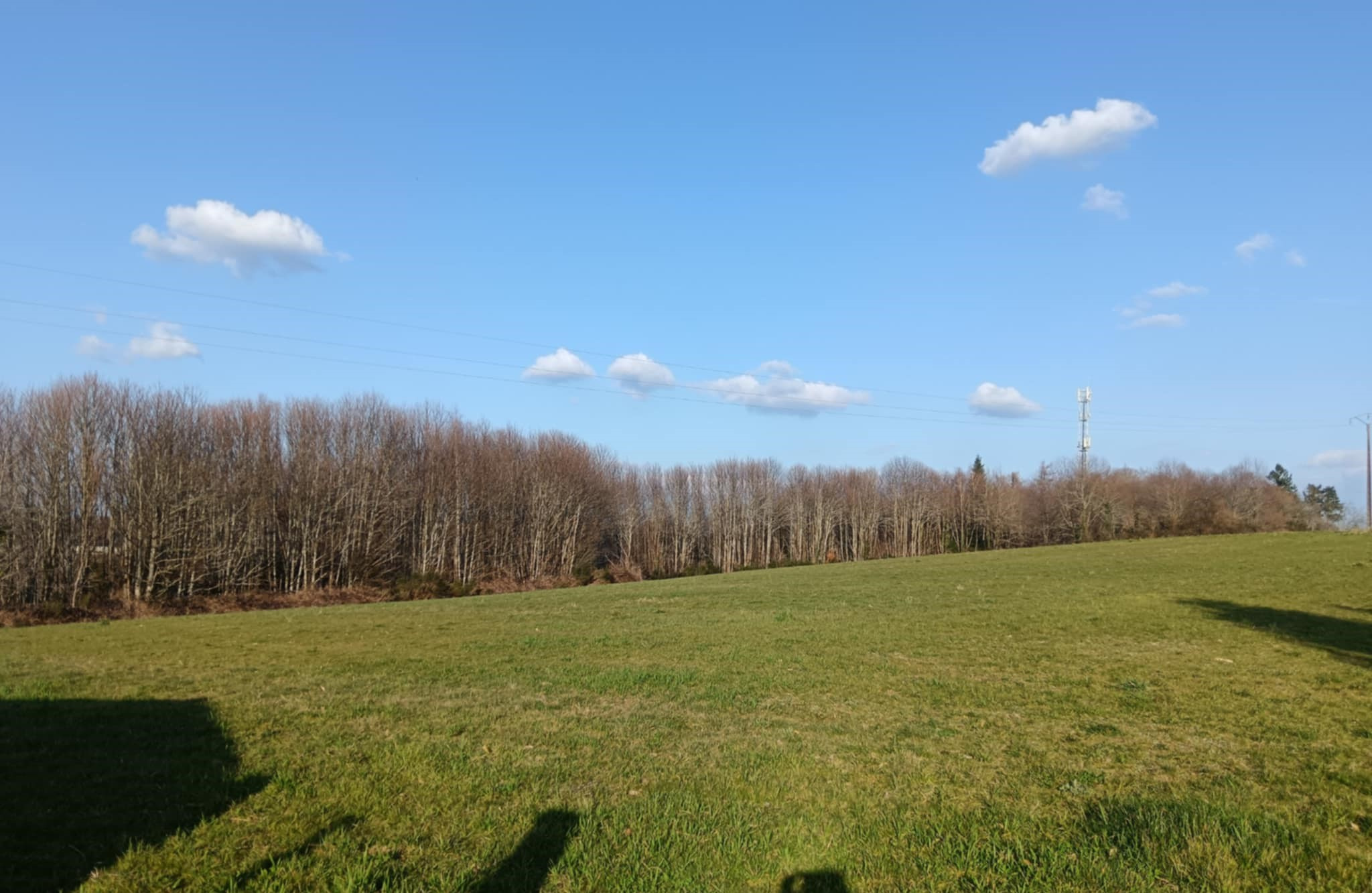 Seconde photo